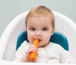Baby Led Weaning: Όταν το μωρό σας τρώει μόνο του