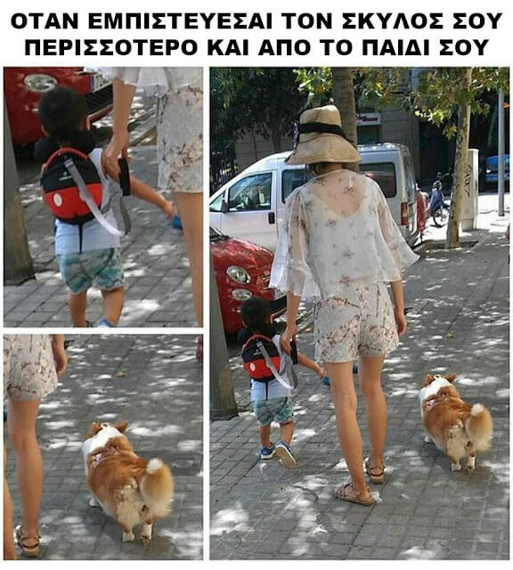 βόλτα με παιδί και σκύλο meme