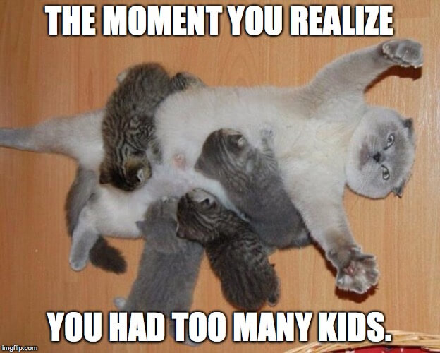 many kids meme