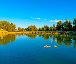 beletsi lake