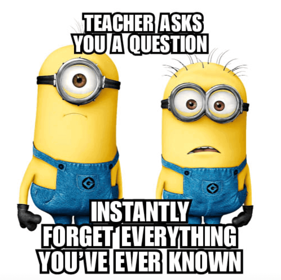 minions meme about school