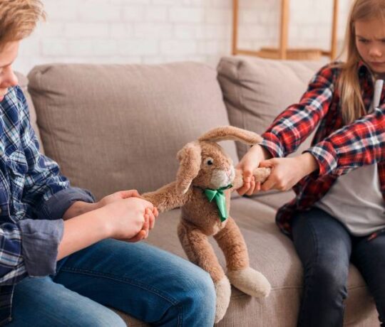 to kids fighting over teddy