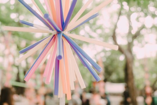 drinking straw craft